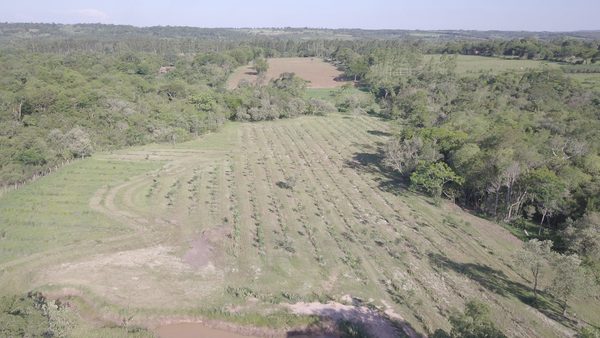 Realizan capacitaciones para combatir incendios forestales en el Guairá » Ñanduti