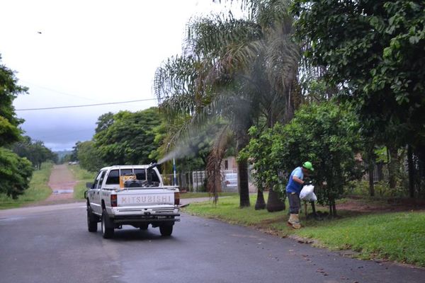 Fumigación no elimina criaderos y solo se hace en zonas con casos sospechosos - Nacionales - ABC Color
