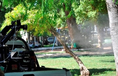 ¿En qué casos realiza SENEPA las nebulizaciones con insecticidas? » Ñanduti