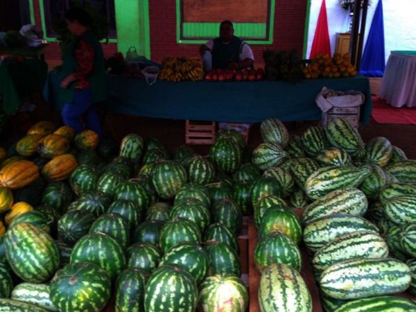 En plena sequía,  fruta de  21 kilos es   campeona de Expo Sandía de Tavapy