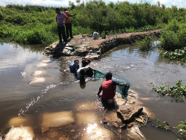 Detienen a un hombre que realizaba pesca ilegal en área protegida - Megacadena — Últimas Noticias de Paraguay