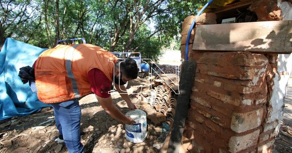 La Nación / Ante peligro de colapso sanitario, piden eliminar criaderos de mosquitos