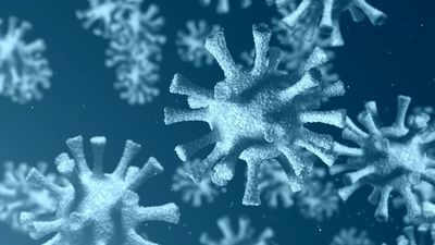 La variante del virus podría estar en varios países - Ciencia - ABC Color