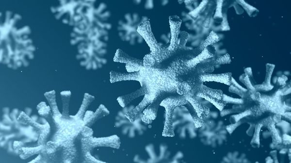 La variante del virus podría estar en varios países - Ciencia - ABC Color
