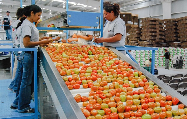 El superávit agroalimentario de México supera los 10.000 millones de dólares - MarketData
