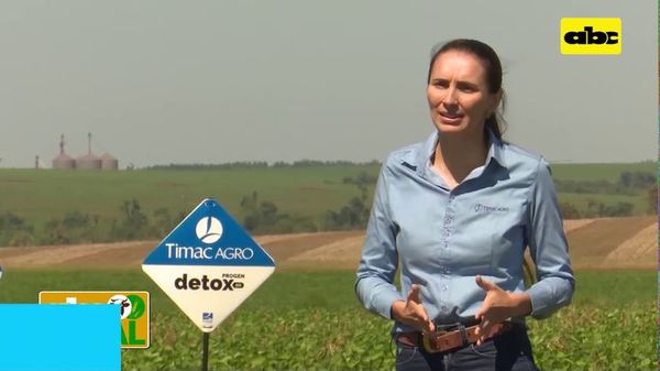 Abc Rural: Cómo lograr un buen arranque del cultivo de soja I - ABC Rural - ABC Color