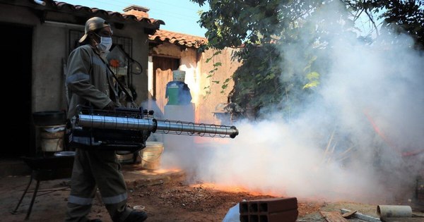La Nación / Solicitan eliminar criaderos de mosquitos ante casos de dengue
