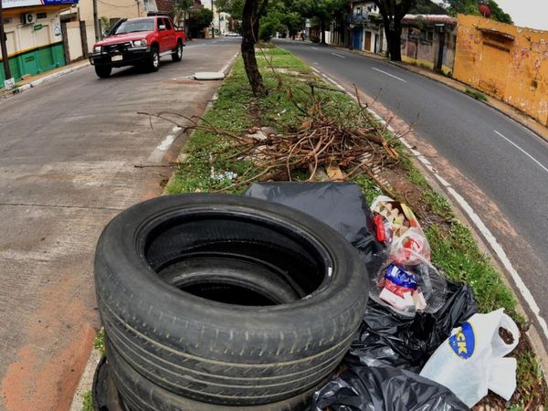 Dengue: Salud aclara que la fumigación no es solución efectiva