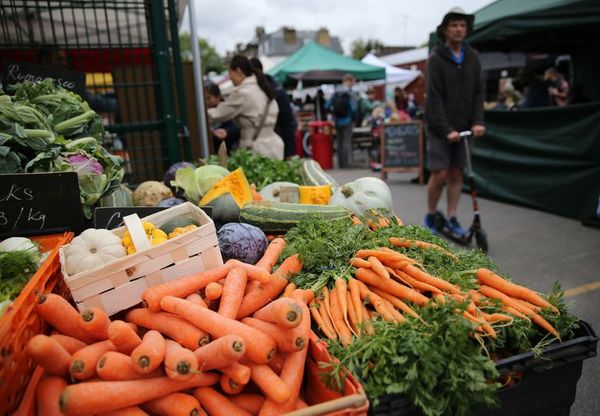 Las zanahorias reducen el colesterol, pero con “ayuda” - Estilo de vida - ABC Color
