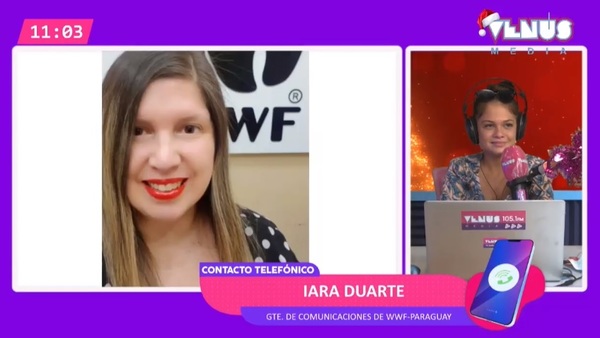 WWF: Como celebrar las fiestas de manera sustentable