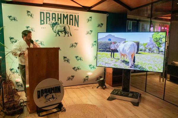 Expo Virtual Brahman coronó a los Grandes Campeones y tuvo ventas “excepcionales”