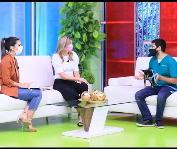 Las mascotas y el cuidado ante las bombas