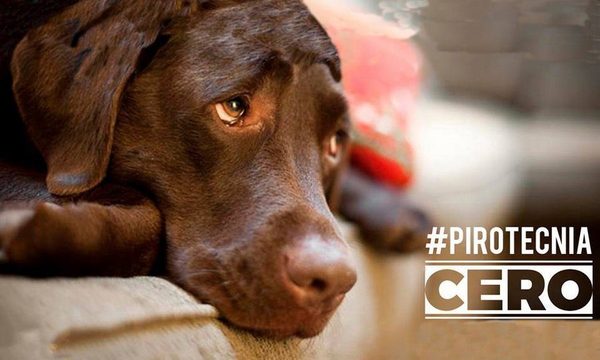 Impulsan campaña «Pirotecnia Cero» en CDE