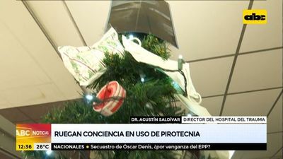 Ruegan conciencia en el uso de pirotecnia - ABC Noticias - ABC Color