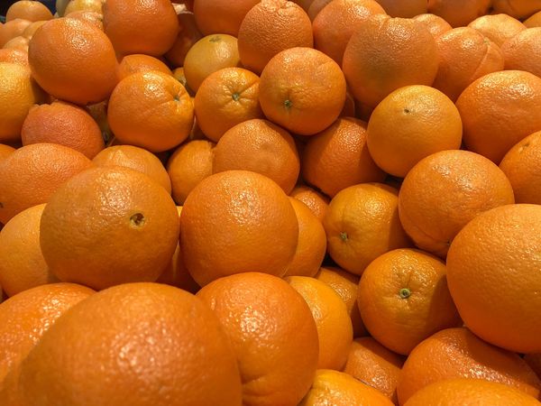 Resaltan la calidad de los frutos cítricos que produce Paraguay » Ñanduti