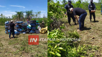 INCINERAN MÁS DE 18.000 KG. DE MARIHUANA EN TRINIDAD