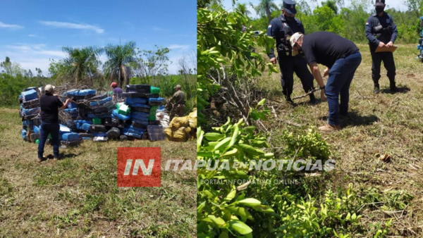 INCINERAN MÁS DE 18.000 KG. DE MARIHUANA EN TRINIDAD
