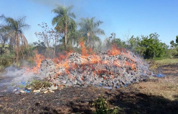 Queman más de 17 toneladas de marihuana en Itapúa