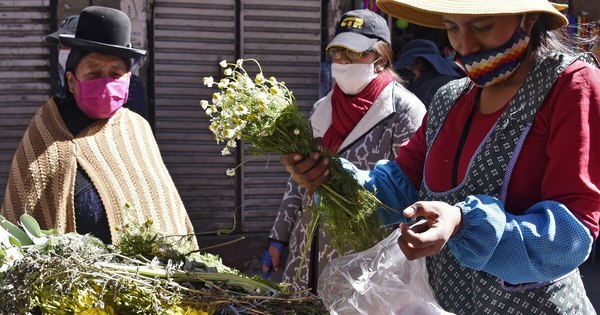 La Nación / Santa Cruz registra rebrote más agresivo