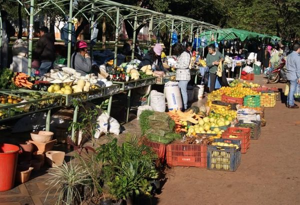 Ferias Libres del Productor estarán atendiendo hasta el jueves 24