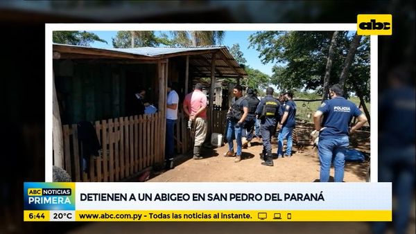 Detienen a un abigeo en San Pedro del Paraná - ABC Noticias - ABC Color
