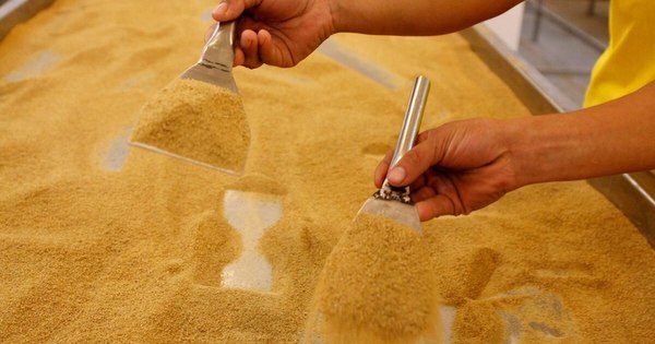 La Nación / Paraguay solicitó a EEUU mayor acceso a mercado para arroz, carne vacuna y azúcar