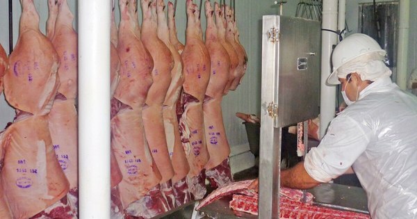 La Nación / Sector porcino aprobó auditoría para exportar al Uruguay