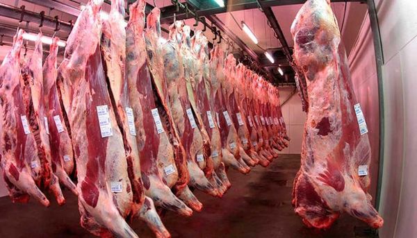 Producción mundial de carne alcanzaría 337,3 millones de toneladas en 2020