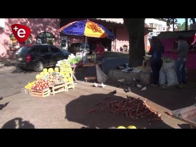 AGRICULTORES DE NVA. ALBORADA LLEGAN A ENCARNACIÓN