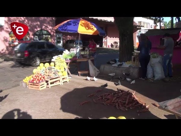 AGRICULTORES DE NVA. ALBORADA LLEGAN A ENCARNACIÓN