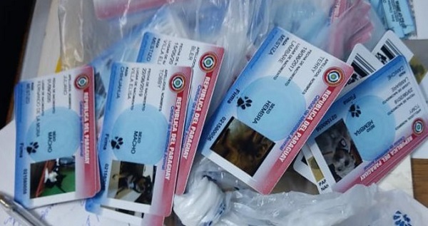 Policía incauta "cédulas" de mascotas y genera reacción en redes