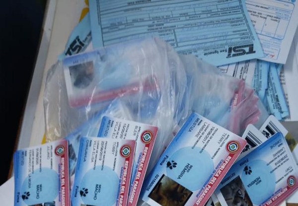 HOY / Allanan local que elaboraba cédulas para mascotas