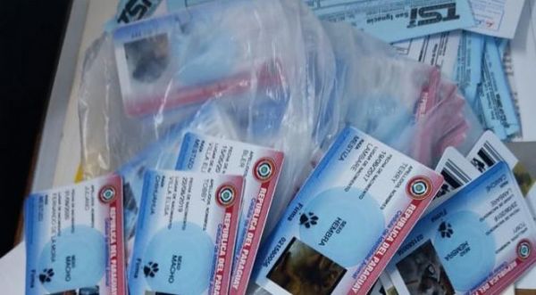 Allanan local que elaboraba cédula para mascotas