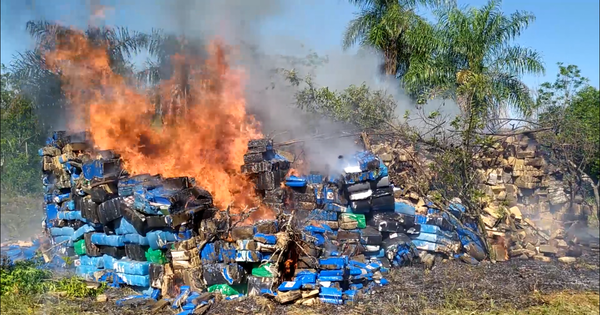 Incineran 18 toneladas de marihuana en Itapúa