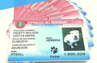 Durísimas críticas a la Policía Nacional por incautación de “cédulas de animalitos” - Megacadena — Últimas Noticias de Paraguay