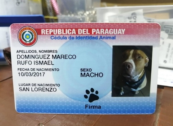 Fiscala justifica operativo contra "cedulación" de mascotas
