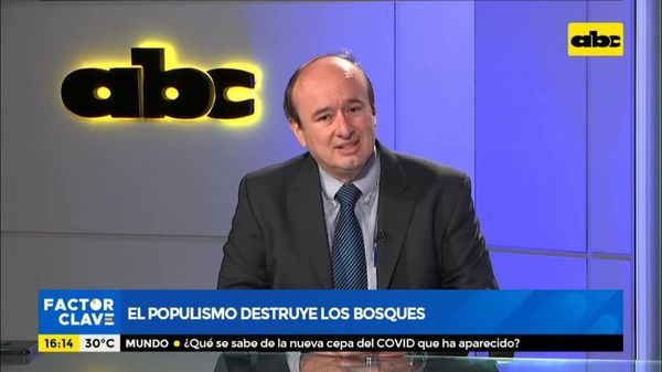El Populismo destruye los bosques - Factor Clave - ABC Color