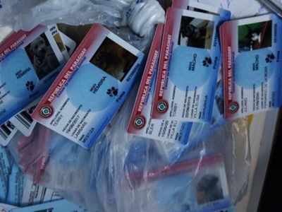 Duros con cédulas de perros, flexibles ante peces gordos