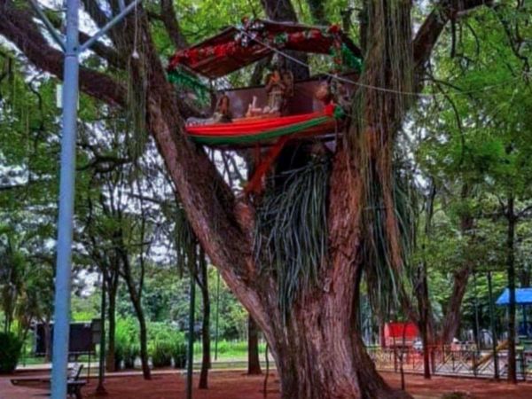 Comunas, con variadas formas de celebrar la Navidad en modo Covid
