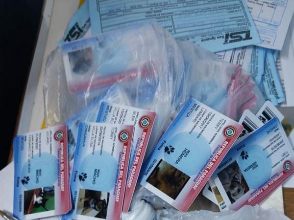 Pillaron cédulas falsas  de ¡PERROS Y GATOS!