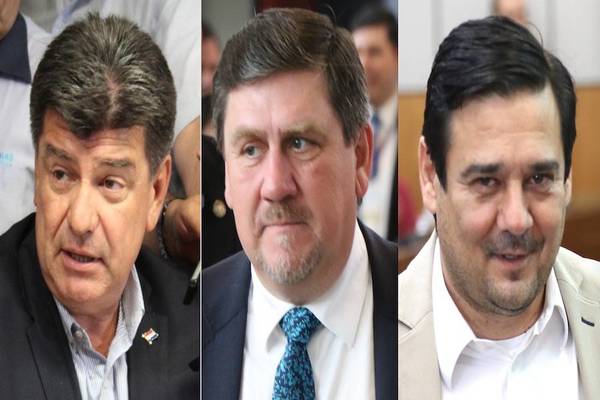 PLRA sin Llano ni Alegre: "Estamos construyendo una nueva alternativa ganadora", sostuvo el Senador Buzarquis