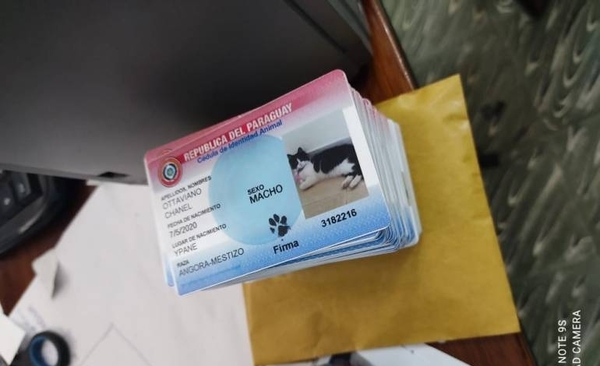 HOY / Cédula de mascotas: denuncia la formuló la Policía