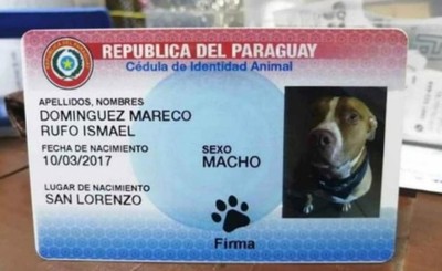 Fiscalía pide que modifiquen las cédulas de las mascotas