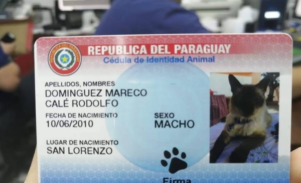 HOY / Policías hicieron operativo a lo FBI: “No hacía falta la forma en que allanaron”
