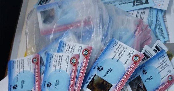 La Nación / Propietarios cambiarán diseño de “cédulas” para mascotas tras allanamiento