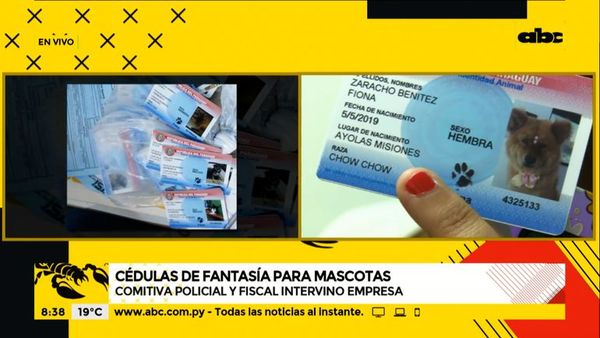 Cédulas para mascotas: Idea terminó en procedimiento fiscal y policial - ABC Noticias - ABC Color