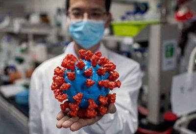 Nueva cepa del coronavirus: la ciencia detrás de las mutaciones