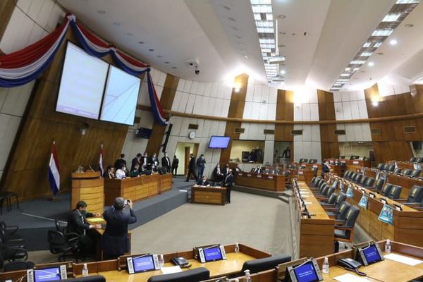 Diputados aprueban modificaciones a la ley del Fonaress - Nacionales - ABC Color
