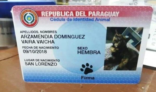 Fiscalía incauta cédulas de mascotas – Prensa 5