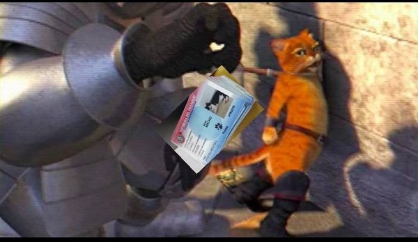Crónica / Oky los memes por el allanamiento de cédulas de mascotitas